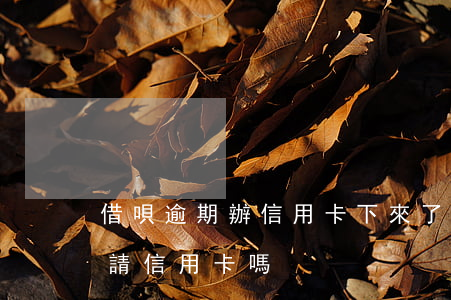 借唄逾期辦信用卡下來了(有借唄欠款還能申請信用卡嗎)