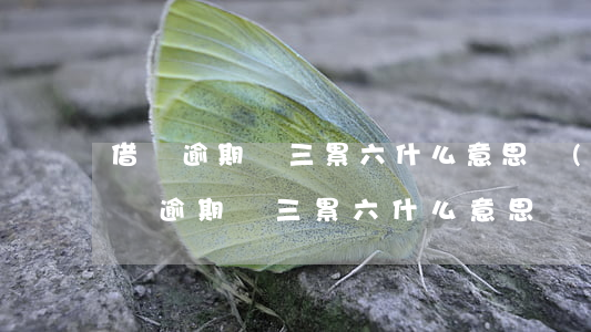 借唄逾期連三累六什么意思(網(wǎng)貸逾期連三累六什么意思)
