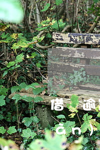 借唄逾期逾期三年怎么辦(借唄欠了3萬(wàn)逾期了怎么辦)