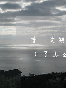 借唄逾期過(guò)一次被關(guān)了怎么還-借唄逾期一次被關(guān)掉