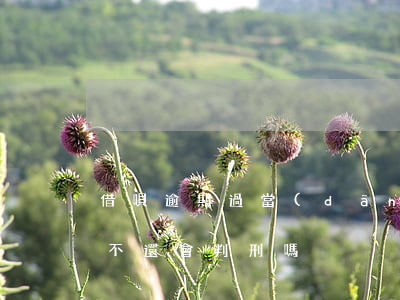 借唄逾期過當(dāng)兵有影響嘛(借唄不還會判刑嗎)