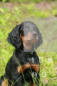 借唄逾期還一部分是算息還是本金-借唄逾期還一部分會(huì)不會(huì)上征信