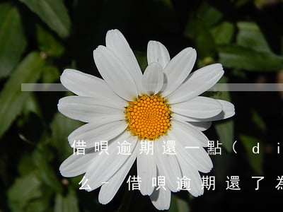 借唄逾期還一點(diǎn)就打電話為什么-借唄逾期還了為什么人家還打電話
