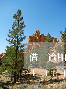 借唄逾期還不上后果(借唄逾期還不上后果會(huì)怎樣)