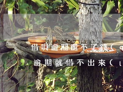 借唄逾期還不了錢(qián)怎么辦(借唄逾期就借不出來(lái)了)
