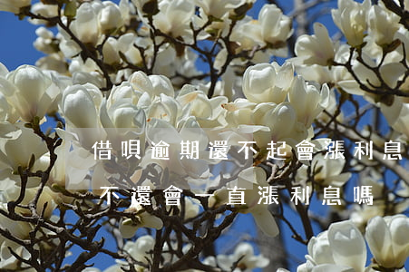 借唄逾期還不起會漲利息嗎(支付寶借唄逾期不還,會一直漲利息嗎)
