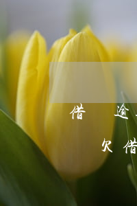 借唄逾期還了一半欠款會(huì)被起訴嗎(欠借唄一千多逾期半年多,會(huì)被起訴嗎)