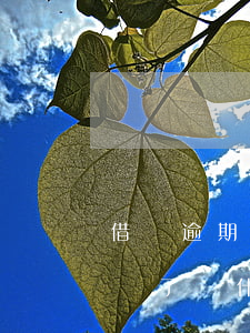 借唄逾期還了一部分一直打電話-借唄逾期還了為什么人家還打電話