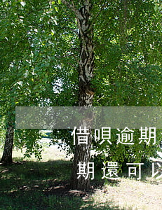 借唄逾期還可以按原來分期還款嗎-借唄逾期還可以按原來分期還款嗎怎么還