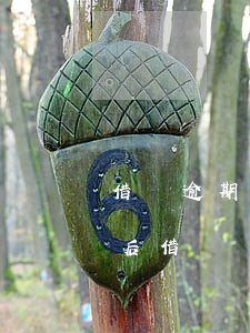 借唄逾期還后多久會(huì)有額度(逾期后借唄沒有額度,什么時(shí)候可以有額度)