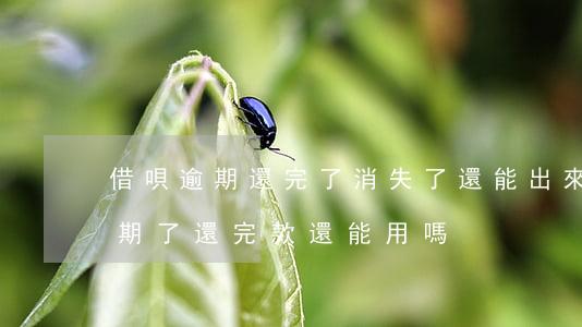 借唄逾期還完了消失了還能出來么?-借唄逾期了還完款還能用嗎