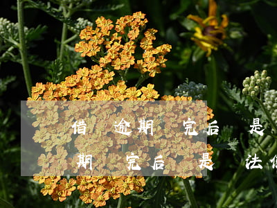 借唄逾期還完后還是無法使用花唄-借唄逾期還完后還是無法使用花唄怎么辦
