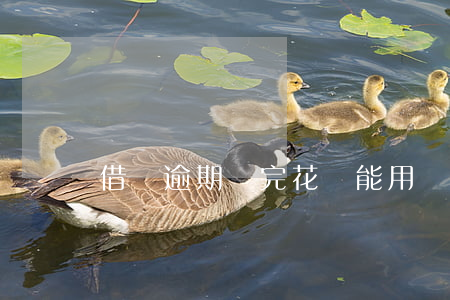 借唄逾期還完花唄能用嗎