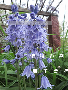 借唄逾期還是花唄逾期(支付寶花唄和借唄逾期了會有什么后果)