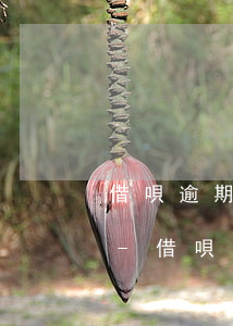 借唄逾期還款一天后多久恢復(fù)借唄-借唄逾期還款一天后多久恢復(fù)借唄額度