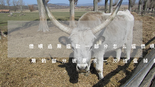 借唄逾期還款一部分怎么還 借唄逾期還了逾期的部分,被要求一次性還掉剩下的部分