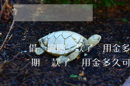 借唄逾期還款了備用金多久可以用-借唄逾期還款了備用金多久可以用啊