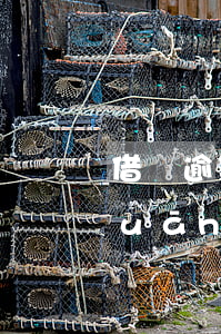 借唄逾期還款了可以注銷嗎(借唄逾期關(guān)閉了還清還可以重新開通嗎)