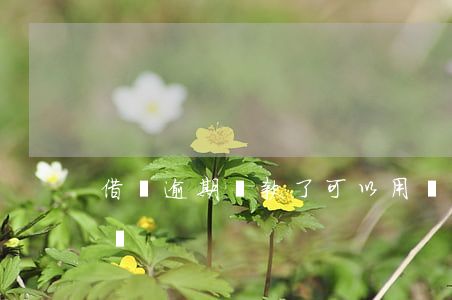 借唄逾期還款了可以用嗎(借唄逾期了還能借錢?)