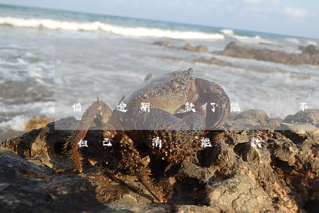 借唄逾期還款了能車貸不(支付寶借唄逾期過但已還清還能貸款買車嗎)
