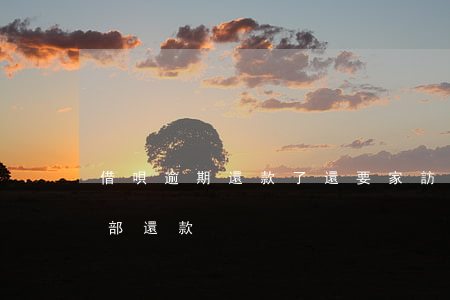 借唄逾期還款了還要家訪(借唄逾期催收要全部還款)