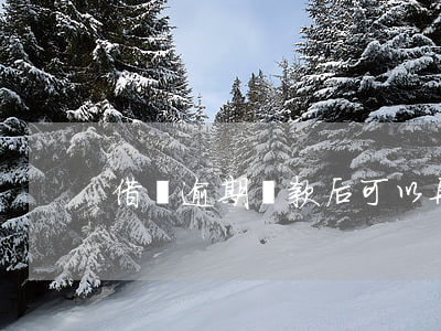 借唄逾期還款后可以再借嗎