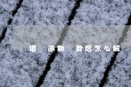 借唄逾期還款后怎么解凍
