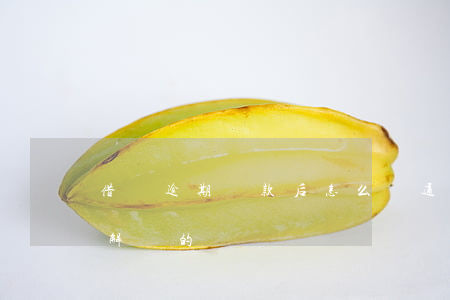 借唄逾期還款后怎么開通(借唄逾期都是怎么解決的)