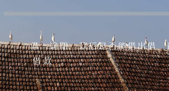 借唄逾期還款后是否能借出(借唄逾期后還能借款嗎)