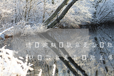 借唄逾期還款后是否還能正常使用-借唄逾期還款后是否還能正常使用了