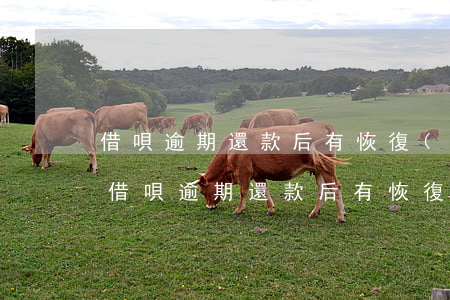 借唄逾期還款后有恢復(fù)的可能嗎-借唄逾期還款后有恢復(fù)的可能嗎怎么辦
