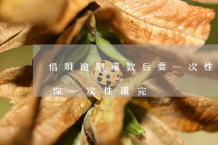 借唄逾期還款后要一次性(借唄逾期為什么要你一次性還完)