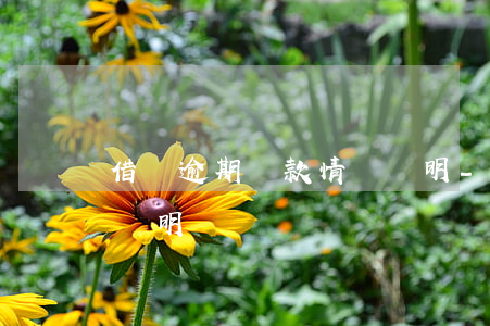 借唄逾期還款情況說明-借唄逾期還款情況說明