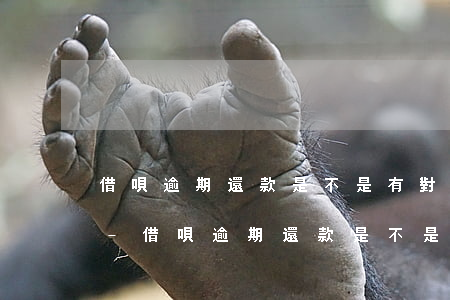 借唄逾期還款是不是有對(duì)公賬戶-借唄逾期還款是不是有對(duì)公賬戶了