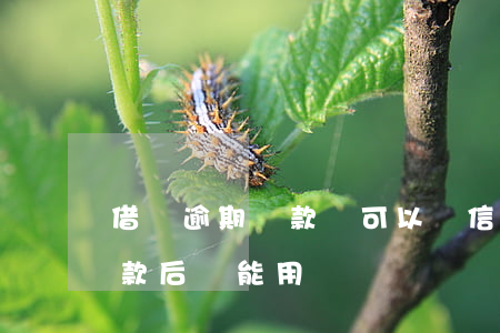 借唄逾期還款還可以辦信用卡嗎(借唄逾期還款后還能用)