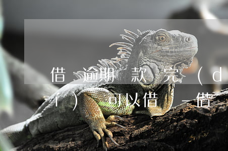 借唄逾期還款還完當(dāng)時(shí)還可以借嗎-借唄逾期還款還完當(dāng)時(shí)還可以借嗎怎么辦