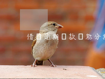 借唄逾期還款還能分期嗎