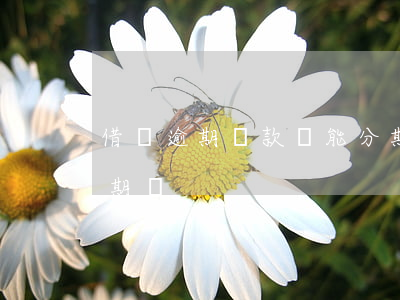 借唄逾期還款還能分期嗎(借唄到期還可以分期嗎)