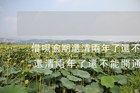 借唄逾期還清兩年了還不能開通-借唄逾期還清兩年了還不能開通怎么辦