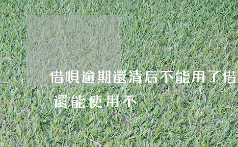 借唄逾期還清后不能用了(借唄逾期一天還了還能使用不)