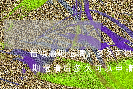 借唄逾期還清后多久可以申請貸款-借唄逾期還清后多久可以申請貸款買房