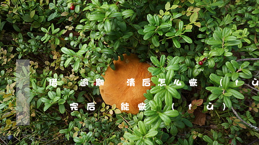 借唄逾期還清后怎么恢復(fù)(借唄逾期還完后還能恢復(fù)嗎?)