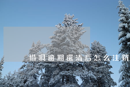 借唄逾期還清后怎么注銷(借唄如何徹底注銷)