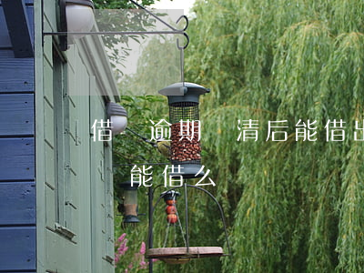 借唄逾期還清后能借出來嗎(借唄逾期還款后還能借么)