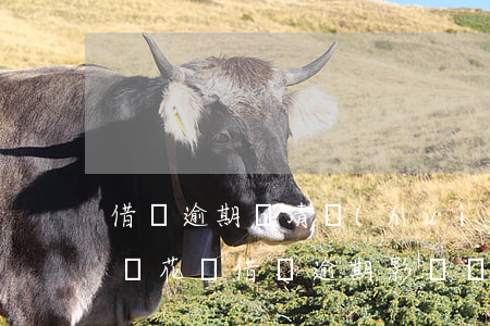 借唄逾期還清會(huì)影響車貸嗎(支付寶花唄借唄逾期影響車貸嗎)