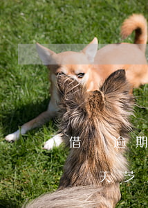借唄逾期還清芝麻分每月加一分-借唄逾期兩天芝麻信用711可以還了馬上借