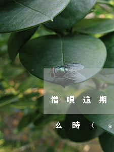 借唄逾期還清還可以用嗎(借唄逾期還清后什么時(shí)候可以繼續(xù)使用)