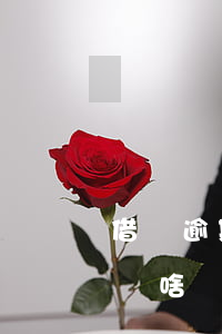 借唄逾期還清還能使用不(借唄逾期后還完了,為啥額度不能用了)