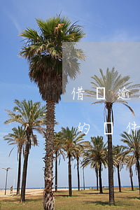 借唄逾期還能下款的軟件(借唄逾期還能下款的軟件)