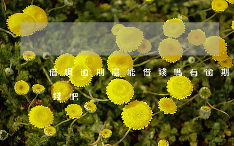 借唄逾期還能借錢嗎（有逾期支付寶借唄能借錢吧）